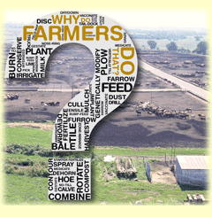 Why feedlots?