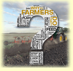 Why do farmers plow fields year after year?