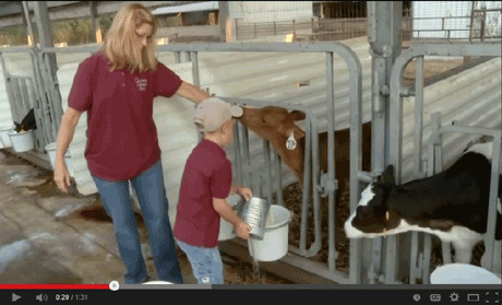 Click here to meet a Nebraska dairy farming family