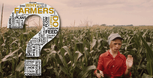 Why do farmers hire kids to walk their cornfields_