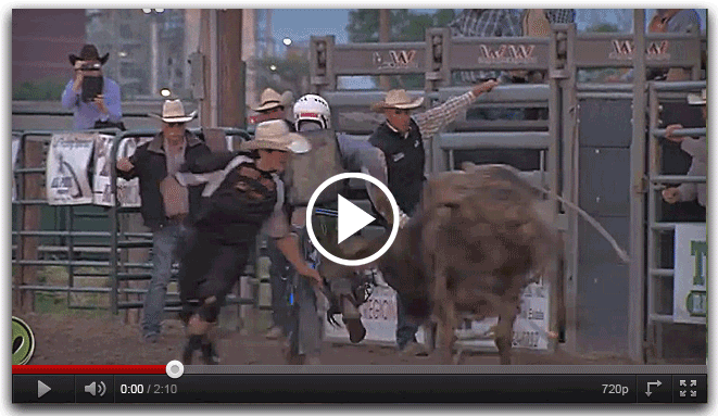 Bull-fighting_ Nebraska style