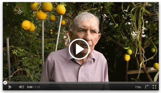 Raising year-round citrus on the High Plains