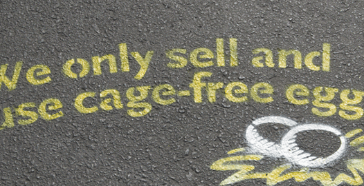 Cage-free unprofitability