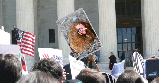 Will the Supreme Court decide the cage-free issue_